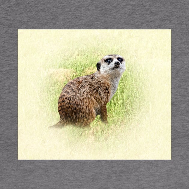 Meerkat by Guardi